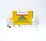 EZ DNA Methlyation-Direct Kits EZ DNA Methlyation-Direct Kits