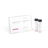 PCRBIO Ultra DNA Polymerase Mix Red PCRBIO Ultra DNA Polymerase Mix Red