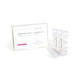 qPCRBIO SyGreen Mix Hi-ROX