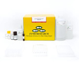 EZ DNA Methylation-Gold Kits
