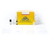 EZ DNA Methylation-Gold Kits EZ DNA Methylation-Gold Kits