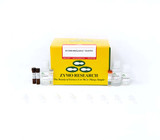 EZ DNA Methylation-Gold Kits EZ DNA Methylation-Gold Kits