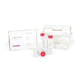 qPCRBIO Probe 1-Step Go Separate ROX