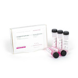 PCRBIO HS Taq Master Mix Red 