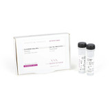 PCRBIO Ultra DNA Polymerase PCRBIO Ultra DNA Polymerase