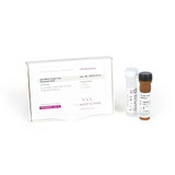 qPCRBIO Probe Mix Separate-ROX qPCRBIO Probe Mix Separate-ROX