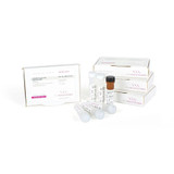 qPCRBIO Probe Mix Separate-ROX qPCRBIO Probe Mix Separate-ROX