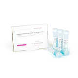 qPCRBIO SyGreen Blue Mix Hi-ROX