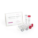 PCRBIO Rapid Extract Lysis Kit