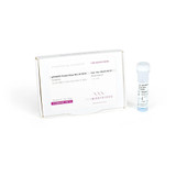 qPCRBIO Probe Blue Mix Lo-ROX qPCRBIO Probe Blue Mix Lo-ROX