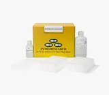 Oligo Clean and Concentrator