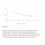 UltraScript® 2.0 cDNA Synthesis Kit UltraScript® 2.0 cDNA Synthesis Kit