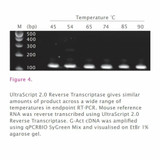 UltraScript® 2.0 Reverse Transcriptase Kit UltraScript® 2.0 Reverse Transcriptase Kit