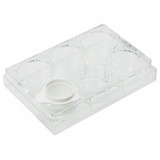 GenClone® Advanced Cell Strainers GenClone® Advanced Cell Strainers