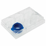 GenClone® Advanced Cell Strainers GenClone® Advanced Cell Strainers