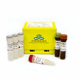 Quick SARS-CoV-2 rRT-PCR Kit Emergency Use Authorize Quick SARS-CoV-2 rRT-PCR Kit Emergency Use Authorize