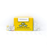 ZR BAC DNA Miniprep Kits ZR BAC DNA Miniprep Kits