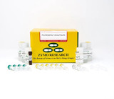 Pico Methyl-Seq™ Library Prep Post-bisulfite Library Prep Kit