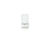 Chloramphenicol Solution
