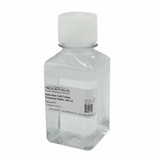 Mammalian Cell Protein Extraction Buffer Mammalian Cell Protein Extraction Buffer