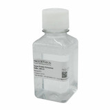 Tissue Protein Extraction Buffer Tissue Protein Extraction Buffer