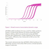 UltraScript® cDNA Synthesis Kit