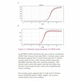 UltraScript® cDNA Synthesis Kit UltraScript® cDNA Synthesis Kit