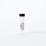 Apex High Fidelity DNA Polymerase, 2 U/μL