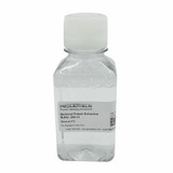 Bacterial Protein Extraction Buffer Bacterial Protein Extraction Buffer