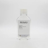 1X PBS, pH 7.4 w/o Ca & Mg 1X PBS, pH 7.4 w/o Ca & Mg