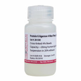 Protein G Agarose 4 FF Highly Cross-linked Beads, 4% Protein G Agarose 4 FF Highly Cross-linked Beads, 4%