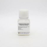 Amph B/Pen/Strep Mixture Amph B/Pen/Strep Mixture