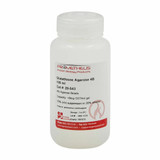 Glutathione Agarose 4B 4% Agarose Beads Glutathione Agarose 4B 4% Agarose Beads
