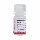 Glutathione Agarose 4B 4% Agarose Beads Glutathione Agarose 4B 4% Agarose Beads