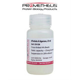 rProtein A Agarose CL-4B Cross-linked Beads, 4%