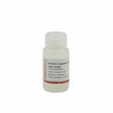 rProtein A Agarose CL-4B Cross-linked Beads, 4%