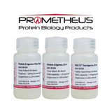 Protein L Agarose Cross-linked Beads, 4% Protein L Agarose Cross-linked Beads, 4%