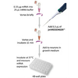 jetMESSENGER® mRNA Transfection Reagent jetMESSENGER® mRNA Transfection Reagent