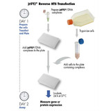 jetPEI® HTS DNA Transfection Reagent, with 150 mM NaCl Solution jetPEI® HTS DNA Transfection Reagent, with 150 mM NaCl Solution