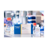 PEIpro® DNA Transfection Reagent PEIpro® DNA Transfection Reagent