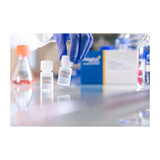 FectoPRO® DNA Transfection Reagent FectoPRO® DNA Transfection Reagent