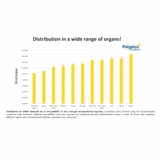 in vivo-jetRNA®+ Transfection Reagent in vivo-jetRNA®+ Transfection Reagent