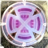 Apricell 3-in-1 Plate, Hydrogel Plate Insert Apricell 3-in-1 Plate, Hydrogel Plate Insert