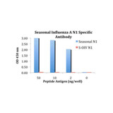 ProSci 5247 Seasonal H1N1 Neuraminidase Antibody