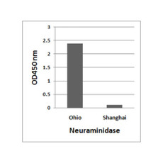 ProSci 7831 Avian Influenza A H7N9 Neuraminidase Antibody