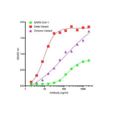 ProSci SD9787 SARS-CoV-2 (COVID-19) Spike S2 Single Domain Antibody