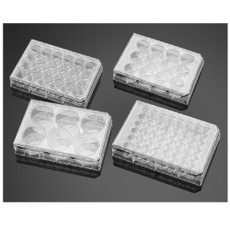 Falcon® Clear Multiwell Plates