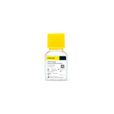 (25-659) MEM-Eagle Amino Acids Solution X50 without Phenol Red 100 mL/Unit