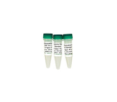 (11-457A) DNA Standard Set Zymo Research 1 Set/Unit