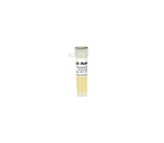 (11-498D) XJbDE3 Autolysis Glycerol Stock Zymo Research 1 Tube/Unit